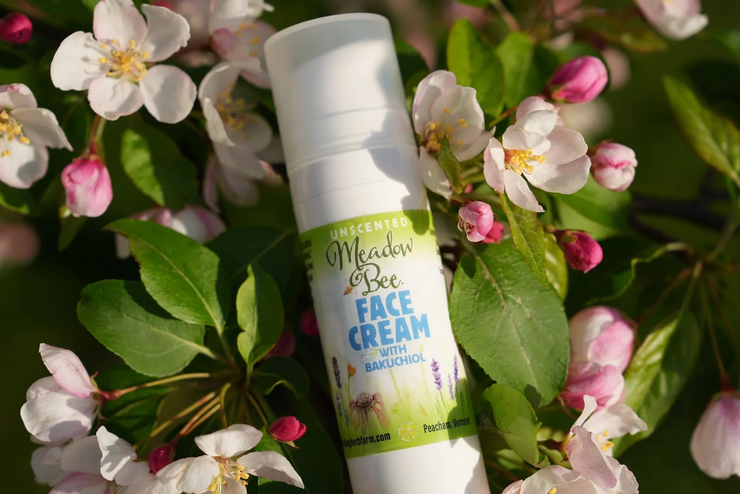Face Cream with Bakuchiol — Meadow Bee